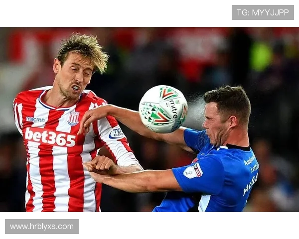 卡迪夫城足球俱乐部在英超的排名及发展现状